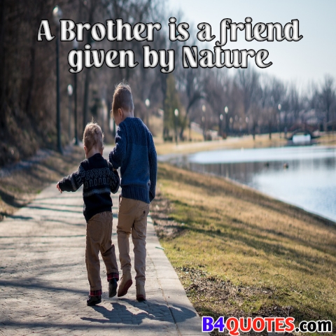 Brother Quotes with images 