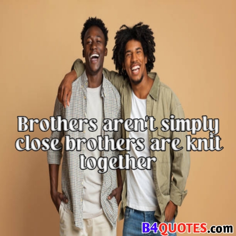 Brother Quotes image