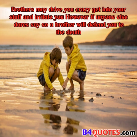 Brother Quotes with images 