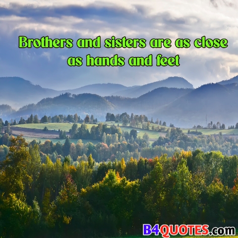 Brother Quotes with images 