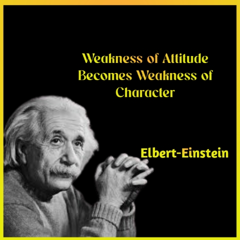 Albert Einstein Quotes 