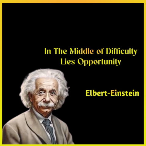 Albert Einstein Quotes 