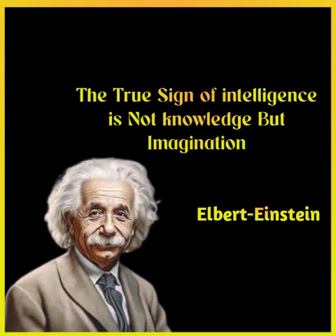 Albert Einstein Quotes 