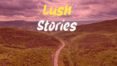 Lush Stories