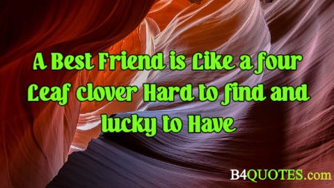 Best friend Quotes