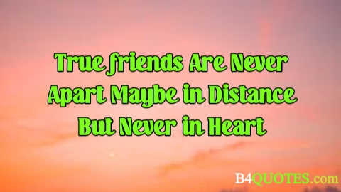 Best Friend Quotes 