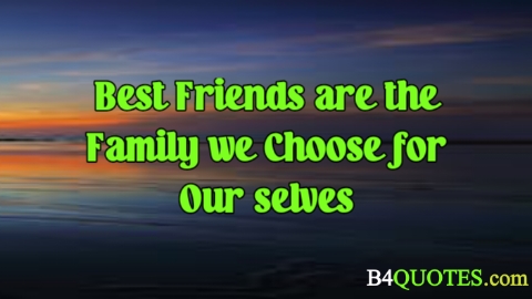 Best Friend Quotes 