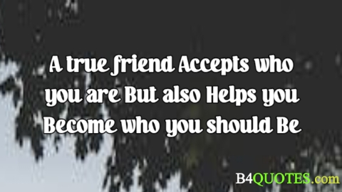 Best Friend Quotes 