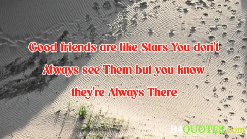 Best Friend Quotes 