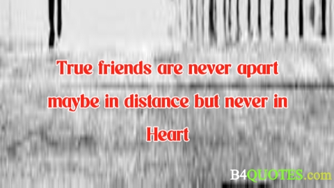 Best Friend Quotes 