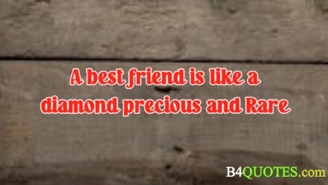 Best Friend Quotes