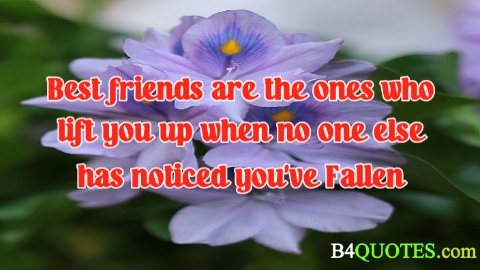 Best friend quotes 