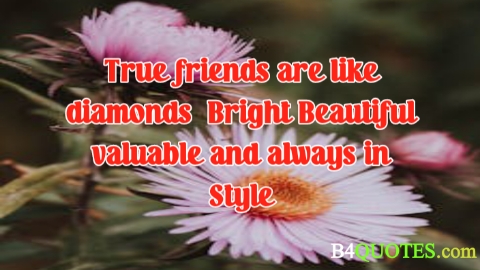 Best friend quotes 