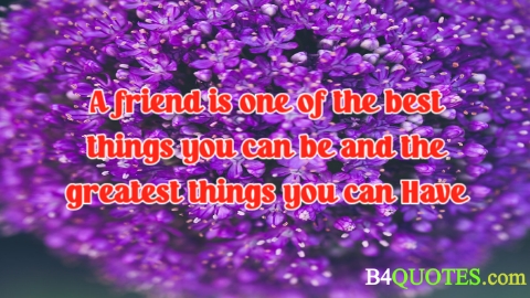 Best friend quotes 