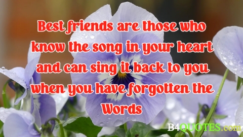 Best friend quotes 