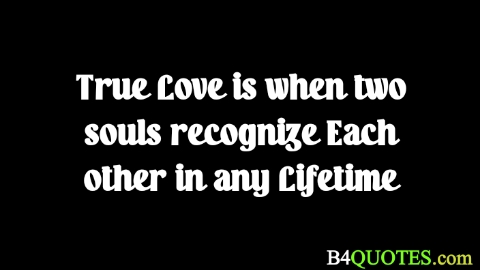 Love Quotes 