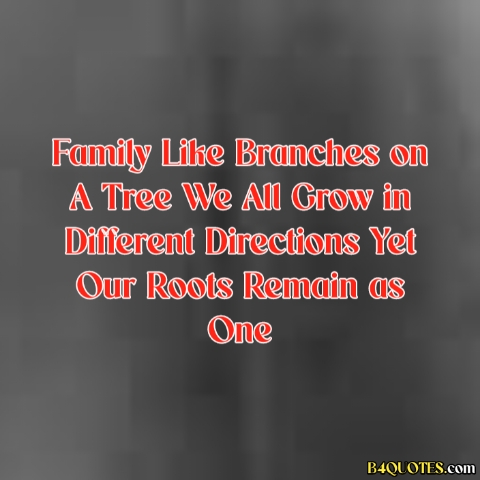 Family Quotes with images 